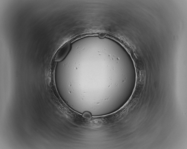 X0000116041165200911271152