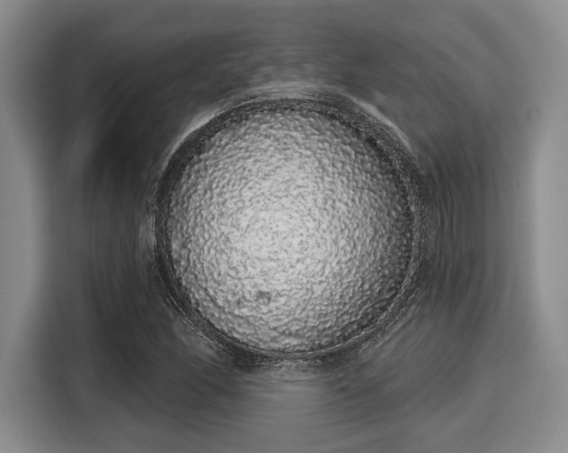 X0000116041166200911271152