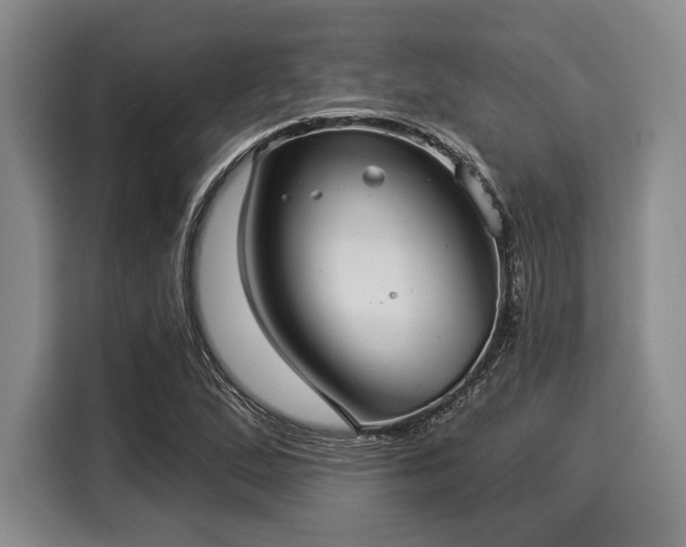 X0000116041167200911271152