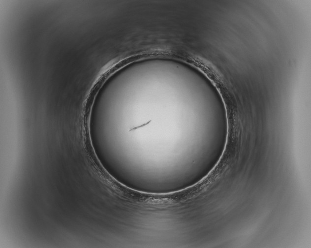 X0000116041168200911271152