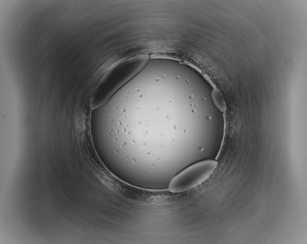 X0000116041169200911271152