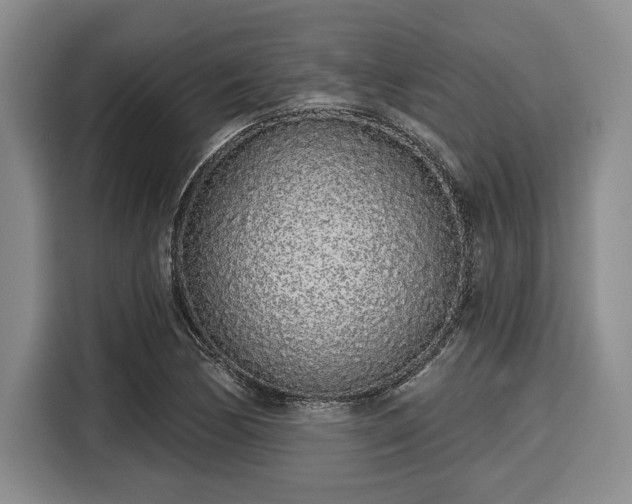 X0000116041170200911271152