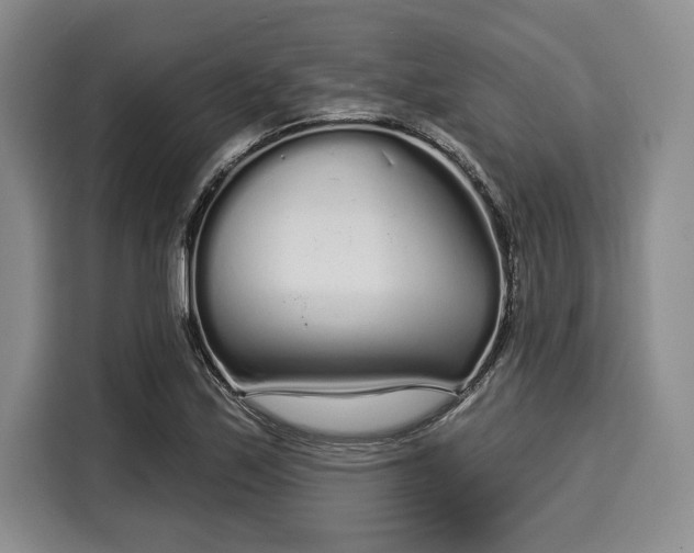 X0000116041171200911271152