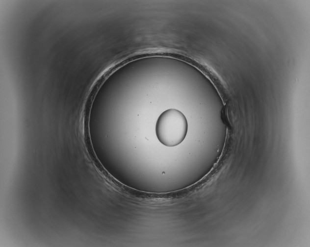 X0000116041173200911271152