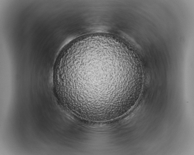 X0000116041174200911271152