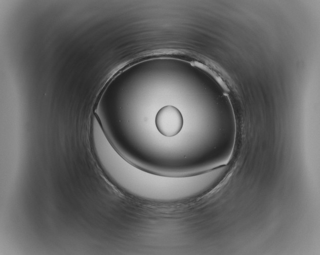 X0000116041177200911271152