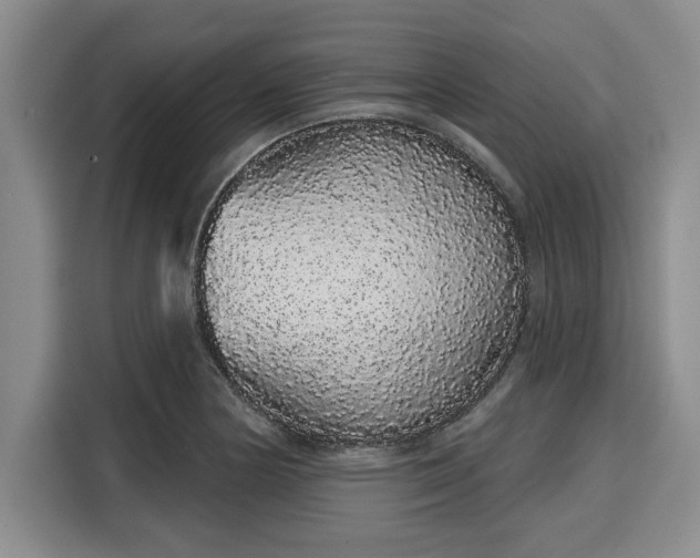 X0000116041178200911271152