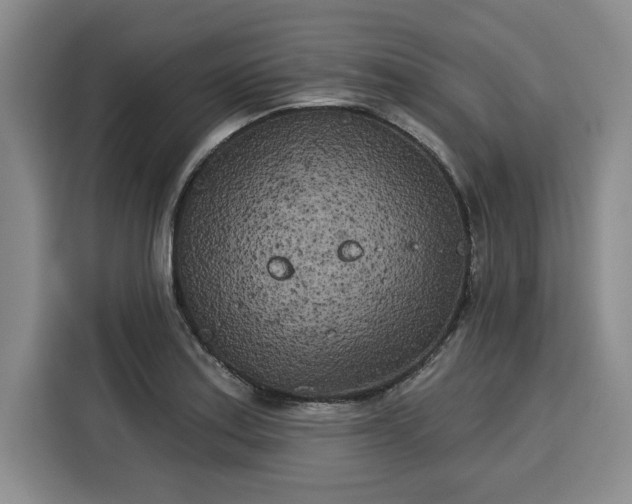 X0000116041179200911271152