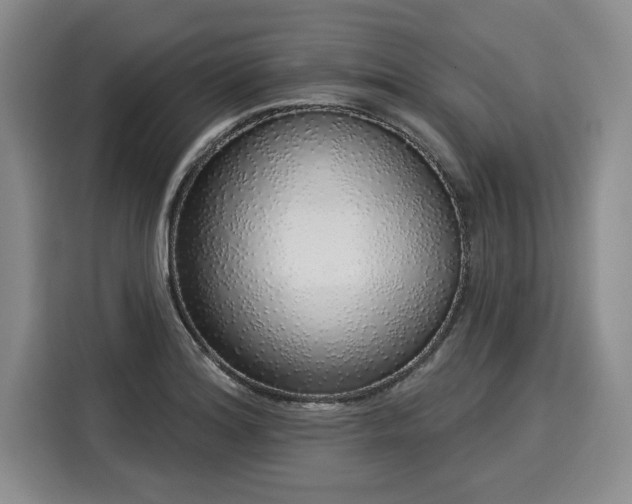 X0000116041180200911271152