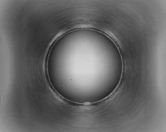 X0000116041181200911271152