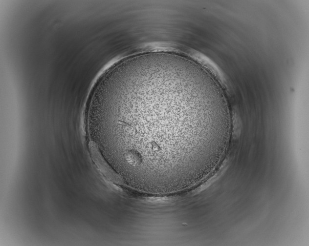 X0000116041182200911271152