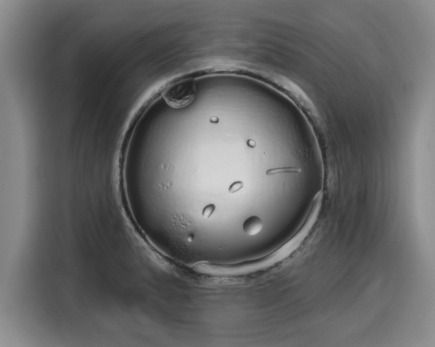 X0000116041183200911271152