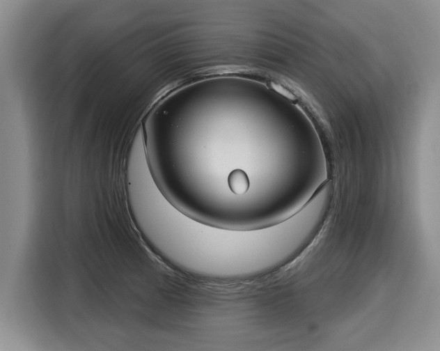 X0000116041185200911271152