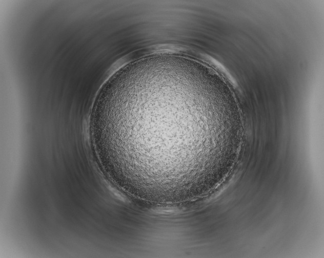 X0000116041186200911271152