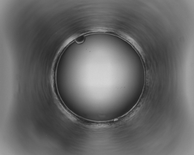 X0000116041187200911271152