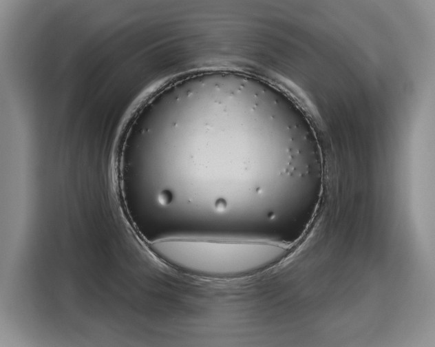 X0000116041188200911271152