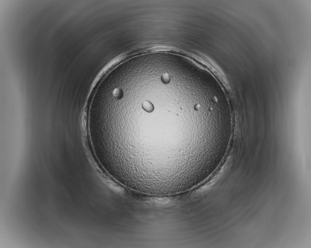 X0000116041190200911271152