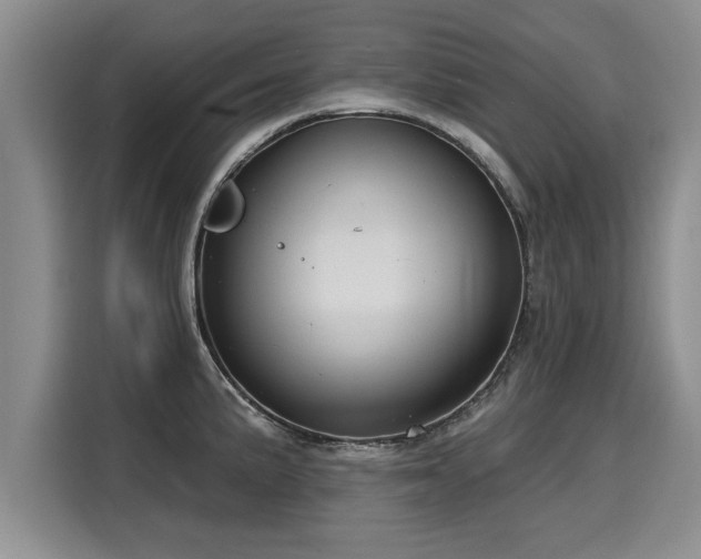 X0000116041191200911271152