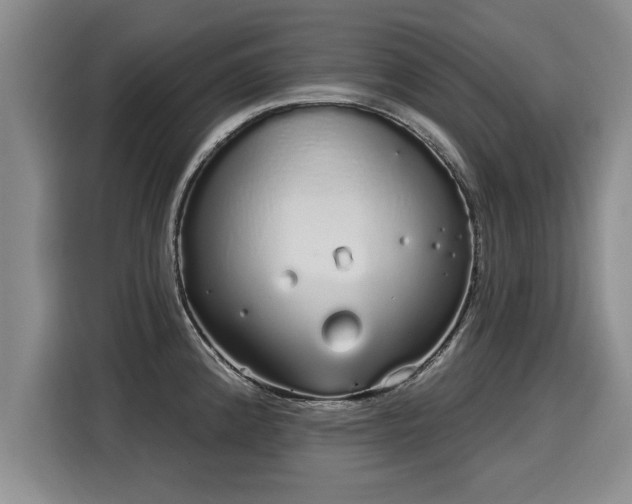 X0000116041192200911271152