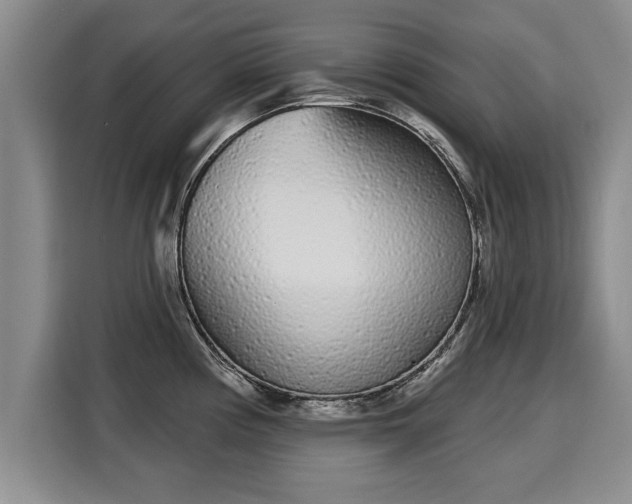 X0000116041194200911271152