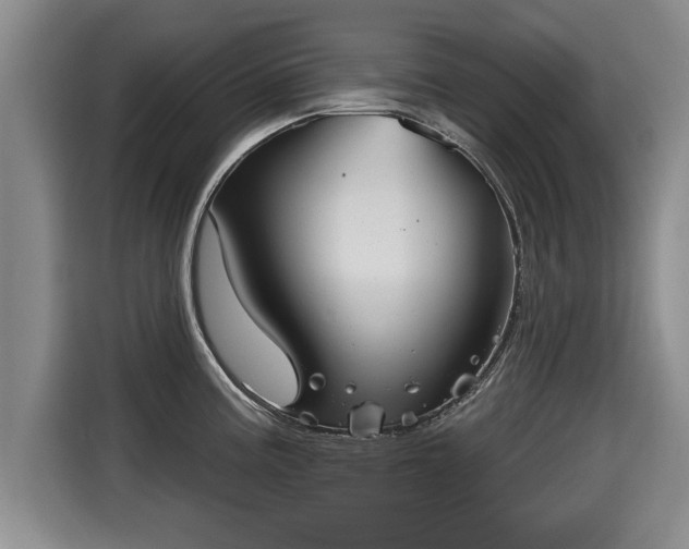 X0000116041195200911271152