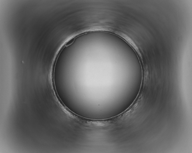 X0000116041197200911271152