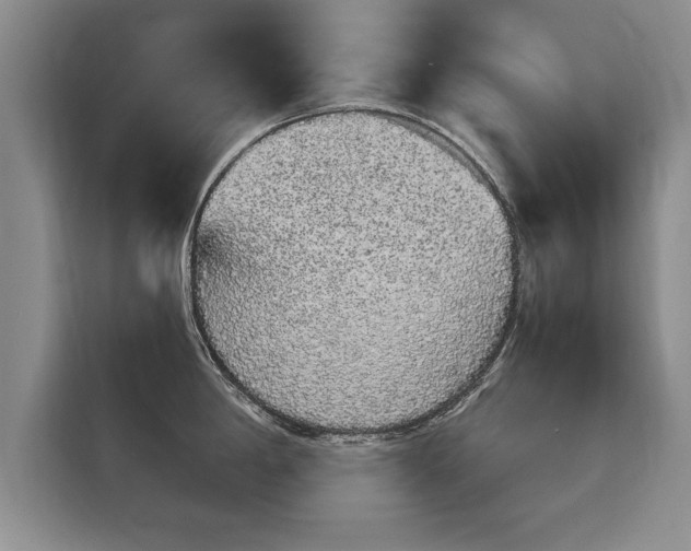 X0000116041198200911271152