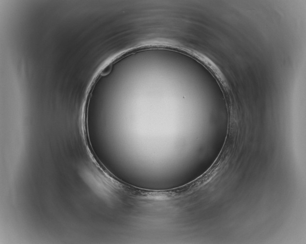 X0000116041199200911271152