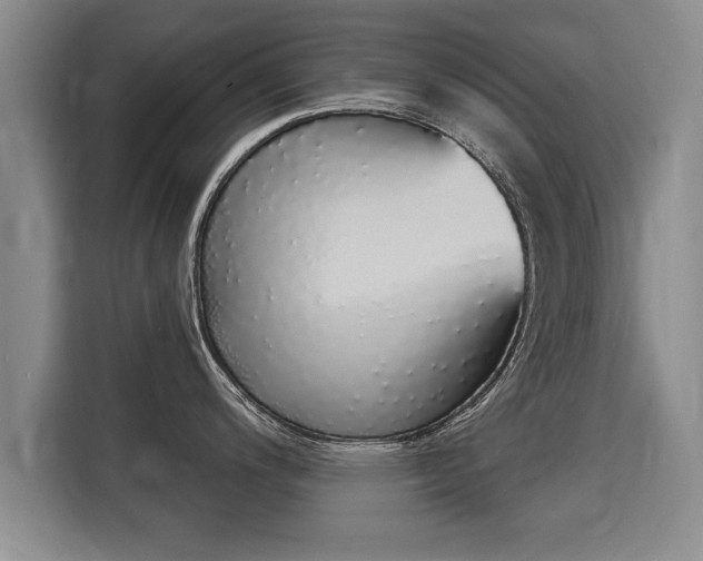 X0000116041200200911271152