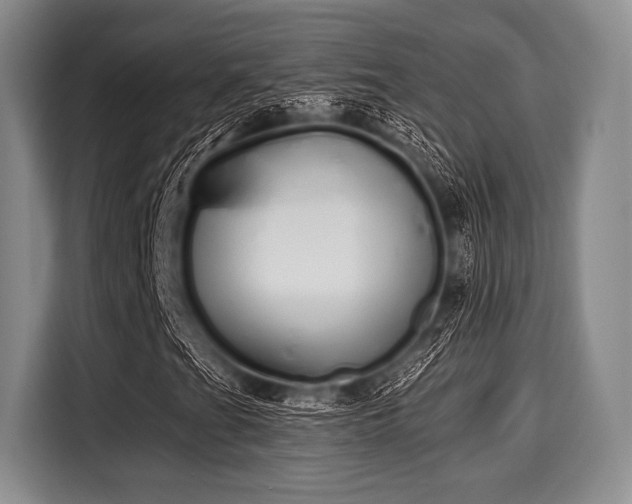 X0000116041201200911271151