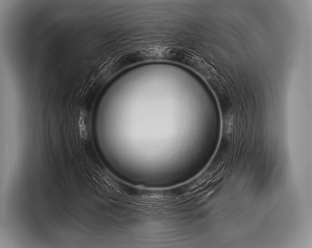 X0000116041202200911271151