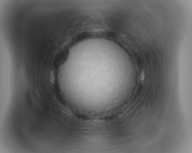 X0000116041204200911271151