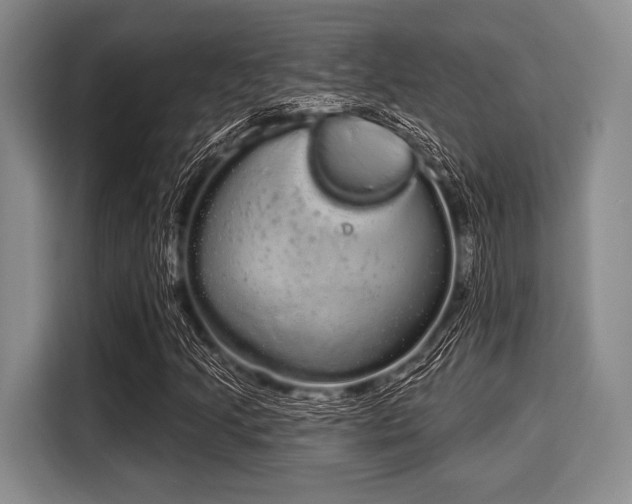 X0000116041205200911271151