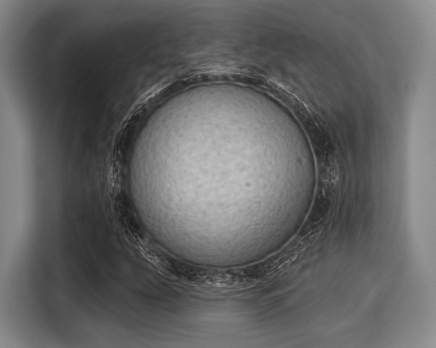 X0000116041207200911271151