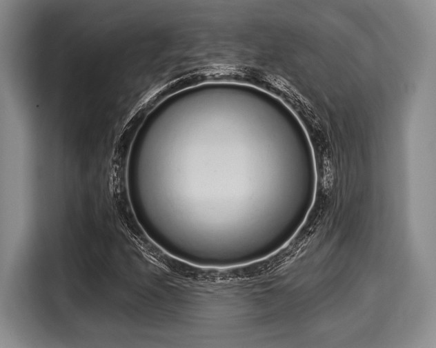 X0000116041208200911271151