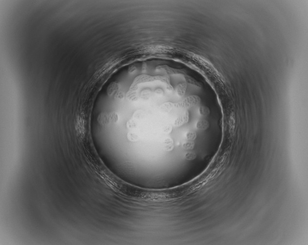 X0000116041209200911271151