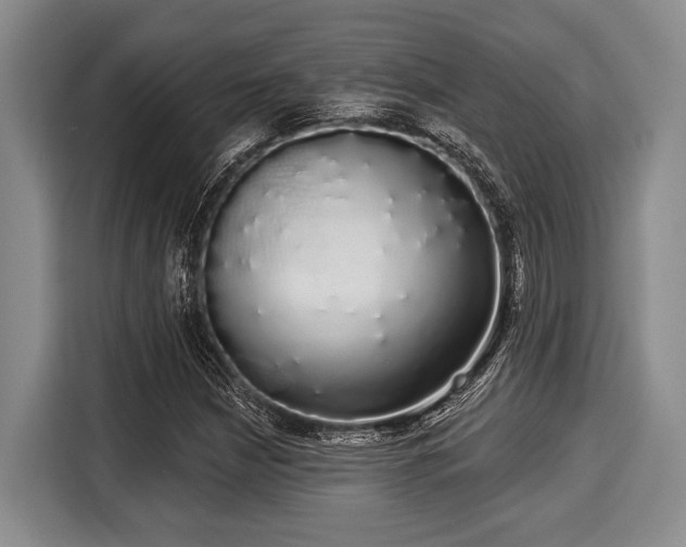 X0000116041210200911271151