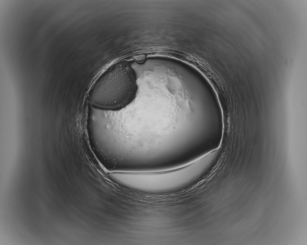 X0000116041212200911271151