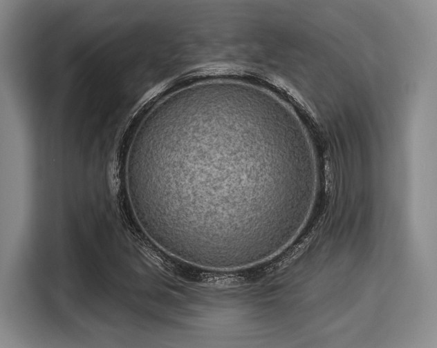 X0000116041213200911271151