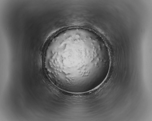 X0000116041214200911271151