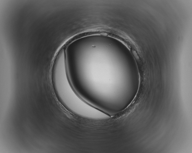 X0000116041216200911271151