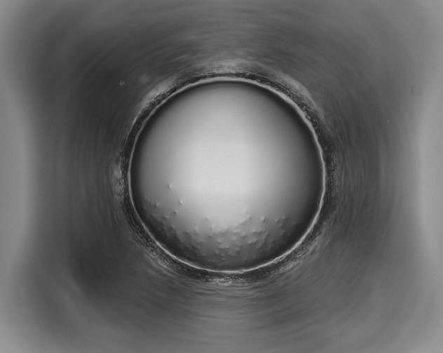 X0000116041218200911271151