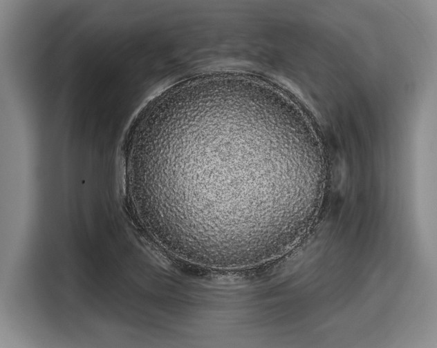 X0000116041219200911271151