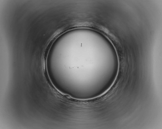 X0000116041221200911271151