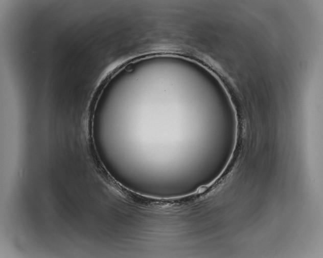 X0000116041222200911271151