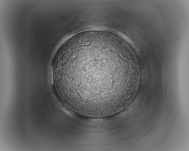 X0000116041223200911271151