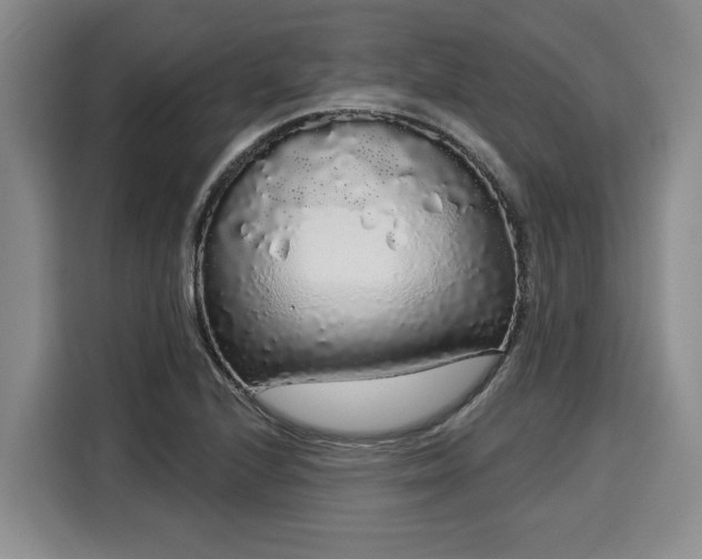 X0000116041224200911271151