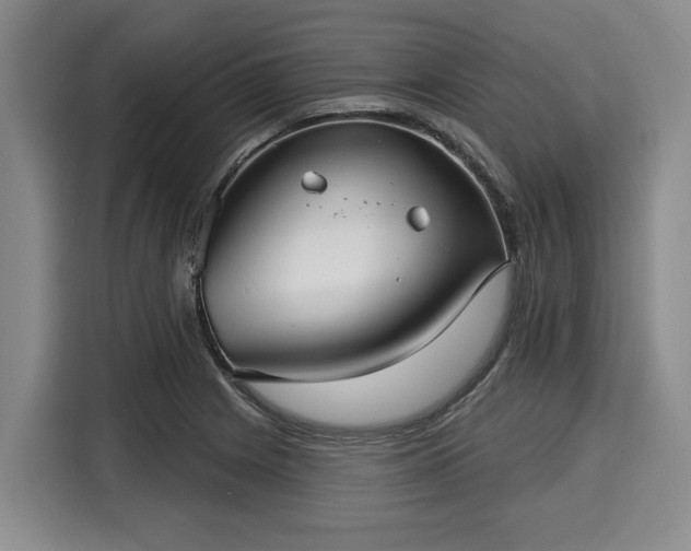 X0000116041225200911271151