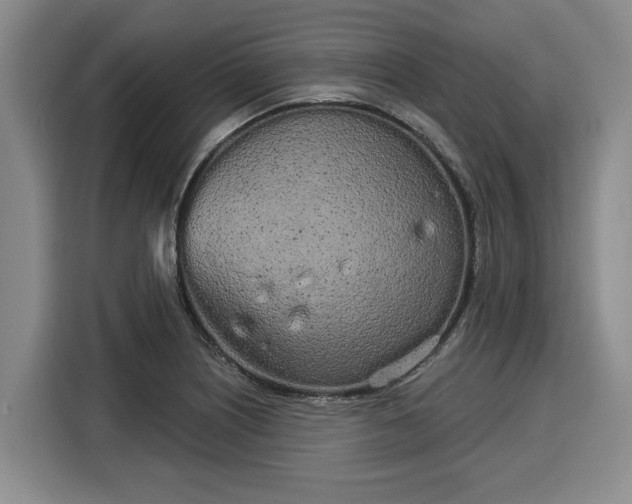 X0000116041226200911271151