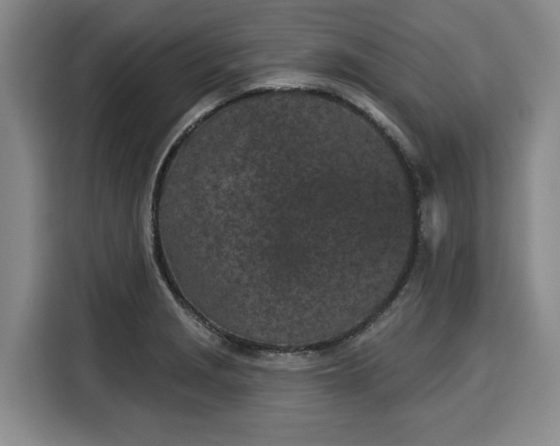 X0000116041229200911271151